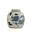 Chinese Ginger Jar Dragon Hand-painted Blue W29xH29cm