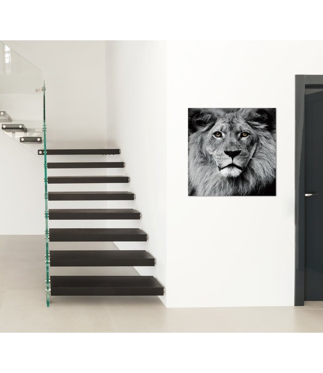 Der König der Löwen Schwarz Weiß Digitaldruck 80x80cm Sicherheitsglas