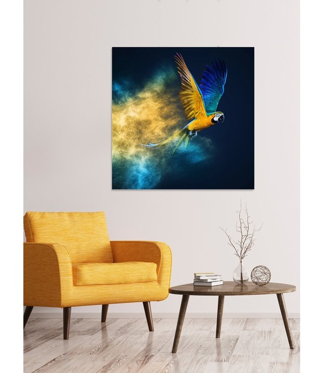 Fliegender Papagei Digitaldruck 95x95cm Acrylglas