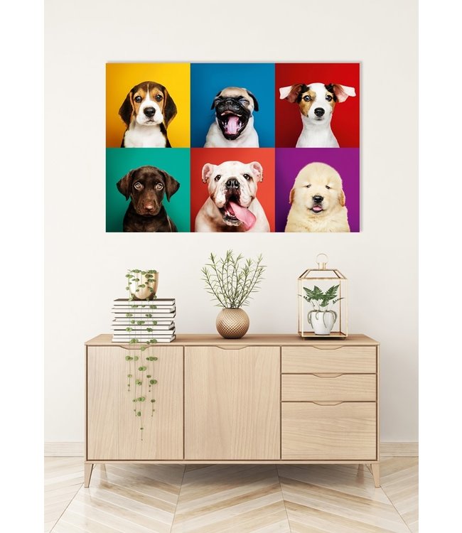 Perros Graciosos Impresión Digital 80x120cm Vidrio Acrílico