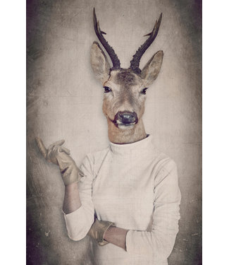 Fine Asianliving Roebuck in Pullover Digitalprint 80x120cm Acrylic Glass