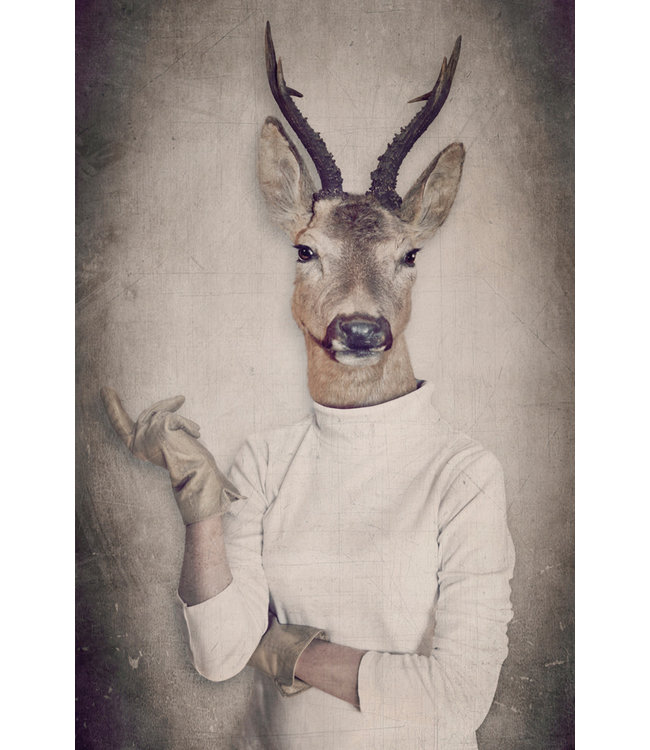 Roebuck in Pullover Digitalprint 80x120cm Acrylic Glass