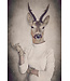 Roebuck in Pullover Digitalprint 80x120cm Acrylic Glass