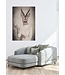 Roebuck in Pullover Digitalprint 80x120cm Acrylic Glass