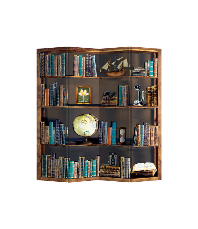 Room Divider Privacy Screen L160xH180cm 4 Panel Bookcase Globe