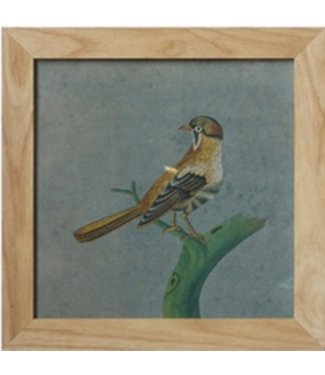 Fine Asianliving Chinese Painting with Frame Bird On Branch W42xH42cm