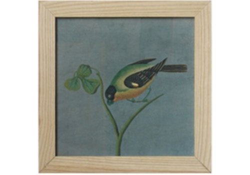 Fine Asianliving Chinese Painting with Frame Bird On Branch W42xH35cm