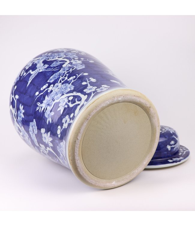 Ginger Jar Cinese Fiori Blu Dipinto a Mano D34xH60cm