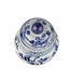 Chinese Ginger Jar Porcelain Handpainted Birds Blue White D23xH39cm