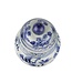 Ginger Jar Cinese Porcellana Uccelli Dipinti a Mano Blu Bianco D23xH39cm