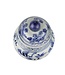 Tarro de Jengibre Chino Templo Porcelana Aves Azul Blanca D23xAlto39cm