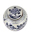 Chinese Ginger Jar Blue White Porcelain Handpainted Birds D30xH30cm