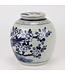 Chinese Ginger Jar Blue White Porcelain Handpainted Birds D30xH30cm