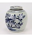 Ginger Jar Cinese Porcellana Blu Bianca Uccelli Dipinti a Mano D30xH30cm