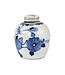Chinese Ginger Jar Blue White Porcelain Birds D14xH17cm