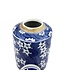 Chinese Ginger Jar Blue White Porcelain Blossoms D19xH29cm