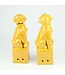 Chinese Foo Dogs Set/2 Porselein Geel Handgemaakt D10xH27cm