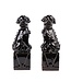 Cinese Foo Dogs Set/2 Porcelaine Noire Fait Main D10xH27cm