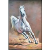 Fine Asianliving Oil Painting 100% Handpainted 3D Relief Effect Black Frame 100x150cm White Horse