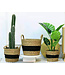 Cesta Oriental Plantas Acuáticas Naturales Hechas A Mano Set/3 Dia.36/30/25 x A30/25/20cm