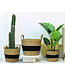 Orientalischer Korb Handgefertigt Natürliche Wasserpflanzen Set/3 Dia.36/30/25 x H30/25/20cm
