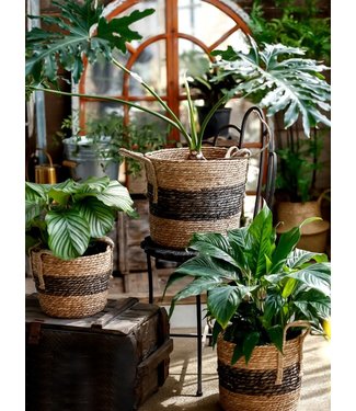 Fine Asianliving Panier Oriental Ensemble de Plantes Aquatiques Naturelles Fait Main/3 Dia.36/30/25 x H30/25/20cm