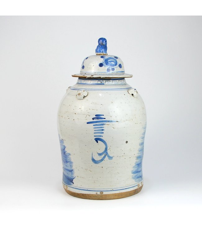 Chinese Ginger Jar Blue White Porcelain Birds D26xH46cm