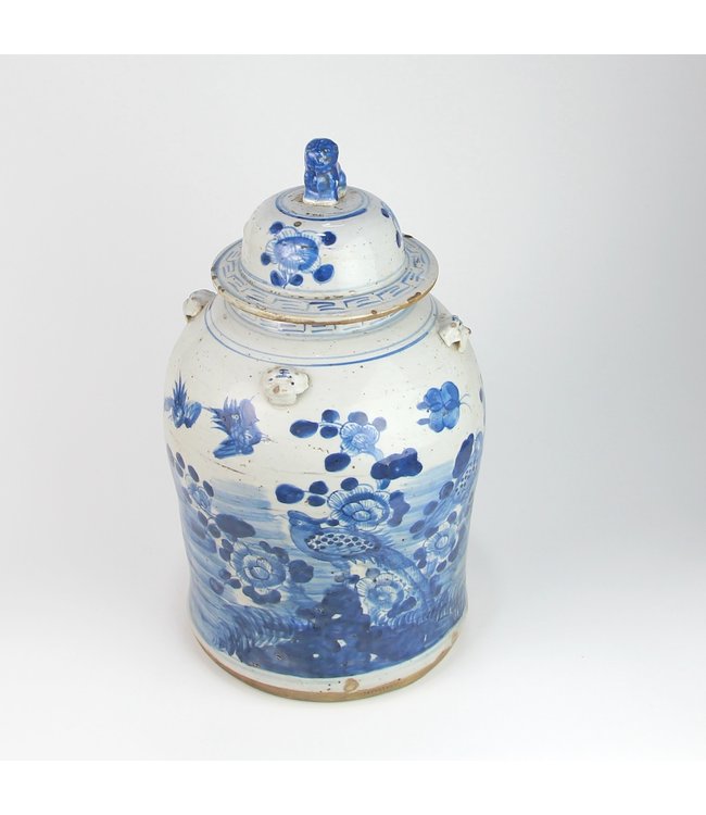 Chinese Ginger Jar Blue White Porcelain Birds D26xH46cm