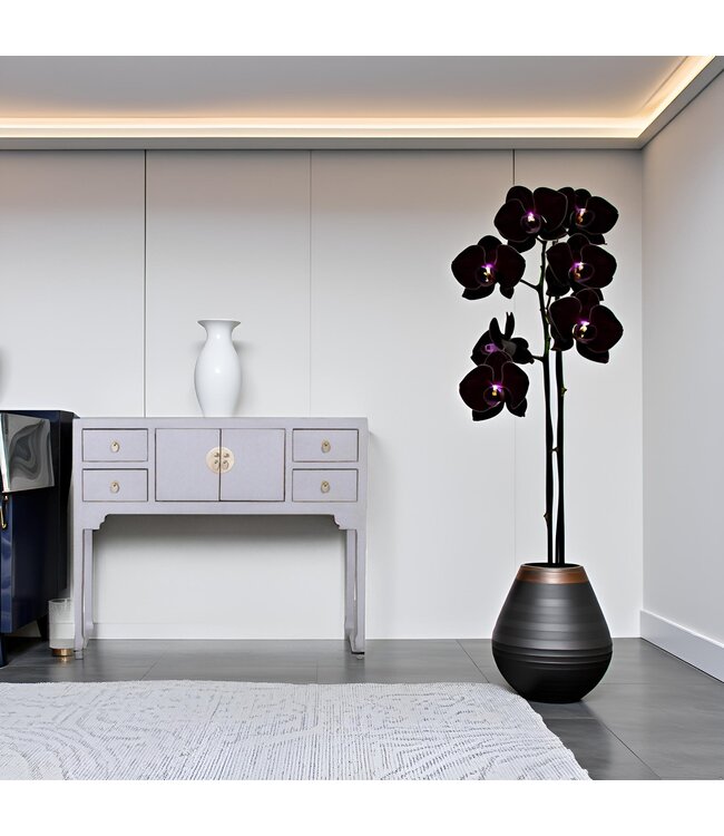 Chinese Console Table Pastel Grey - Orientique Collection W100xD26xH80cm