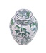 Vaso Ginger Jar Cinese in Porcellana Blu Verde Pappagalli Dipinto a Mano D15xA20cm