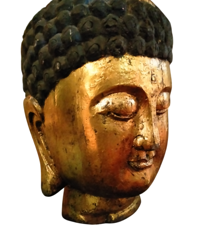 Japanese Buddha Statue Head Gold Tree Trunk D40xH65cm
