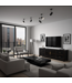 Mobile TV Cinese Onice Nero - Orientique  Collezione L180xP38xA65cm