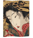 Japanese Oriental Room Divider Folding Privacy Screen 3 Panels W120xH180cm Japanese Geisha