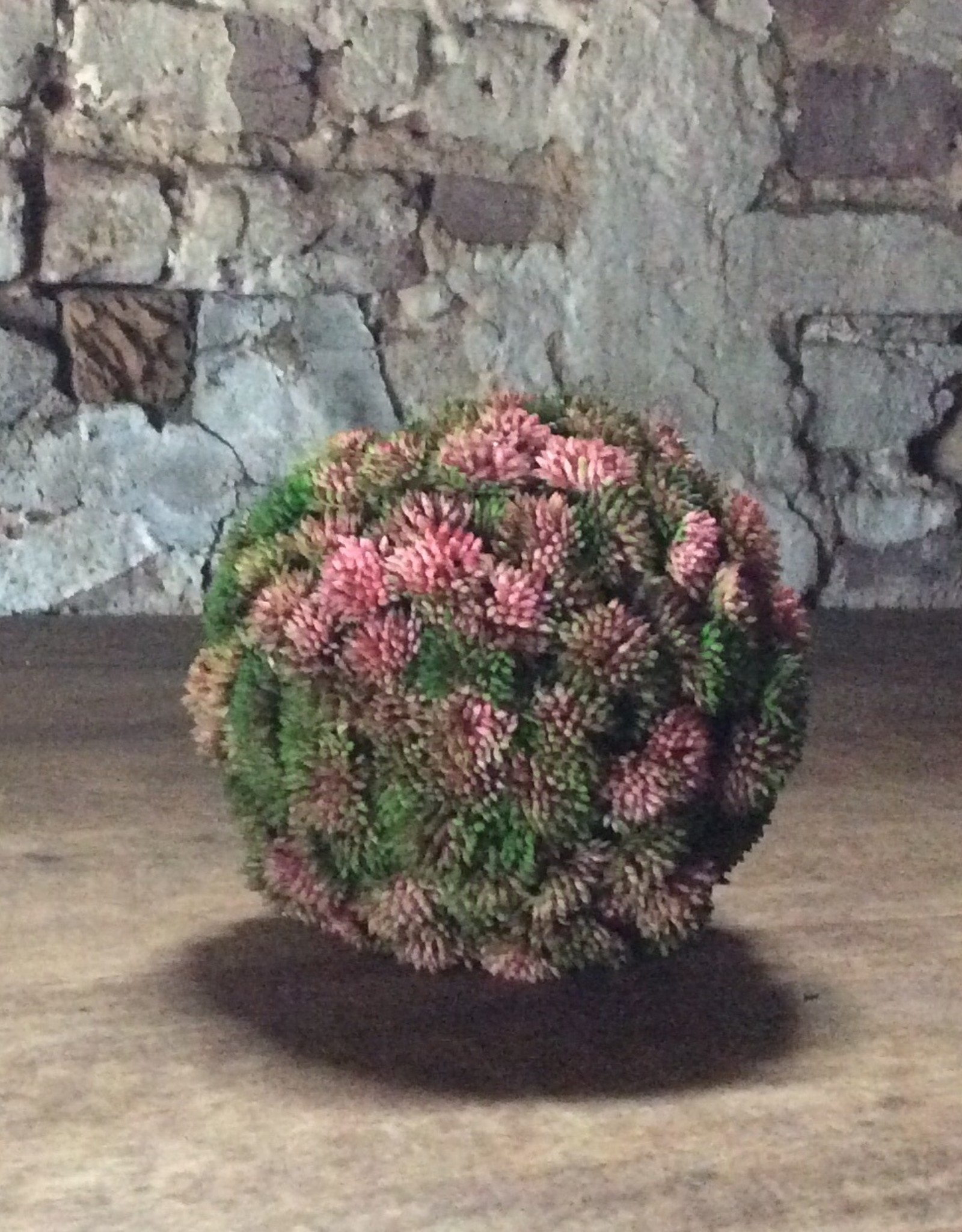 Sphère de sédum décorative