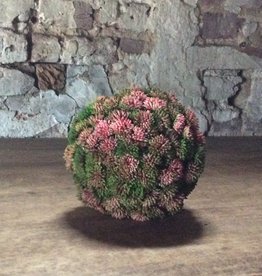 Sphère de sédum décorative