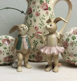 Set konijntjes meisje en jongen