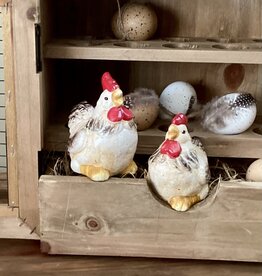 ensemble de poules