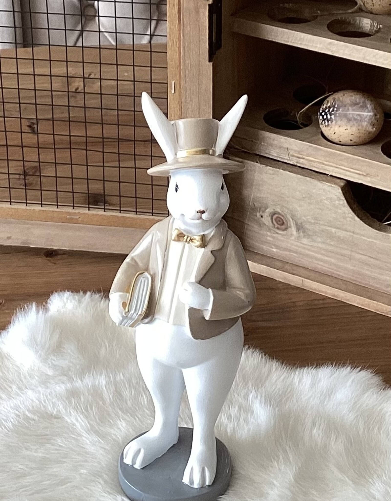 Decoratie konijn met  boek