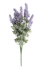 branche de lavande