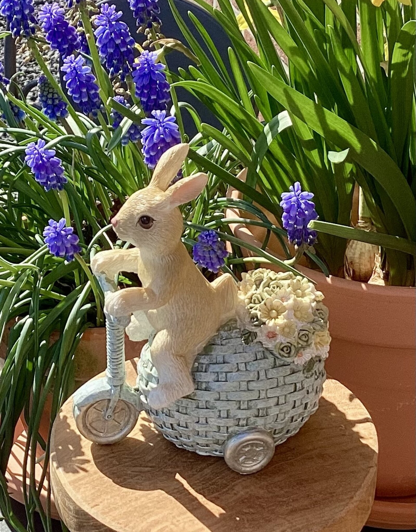 Hase auf Dreirad