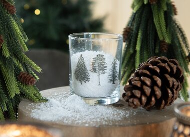 Winter/ Kerst