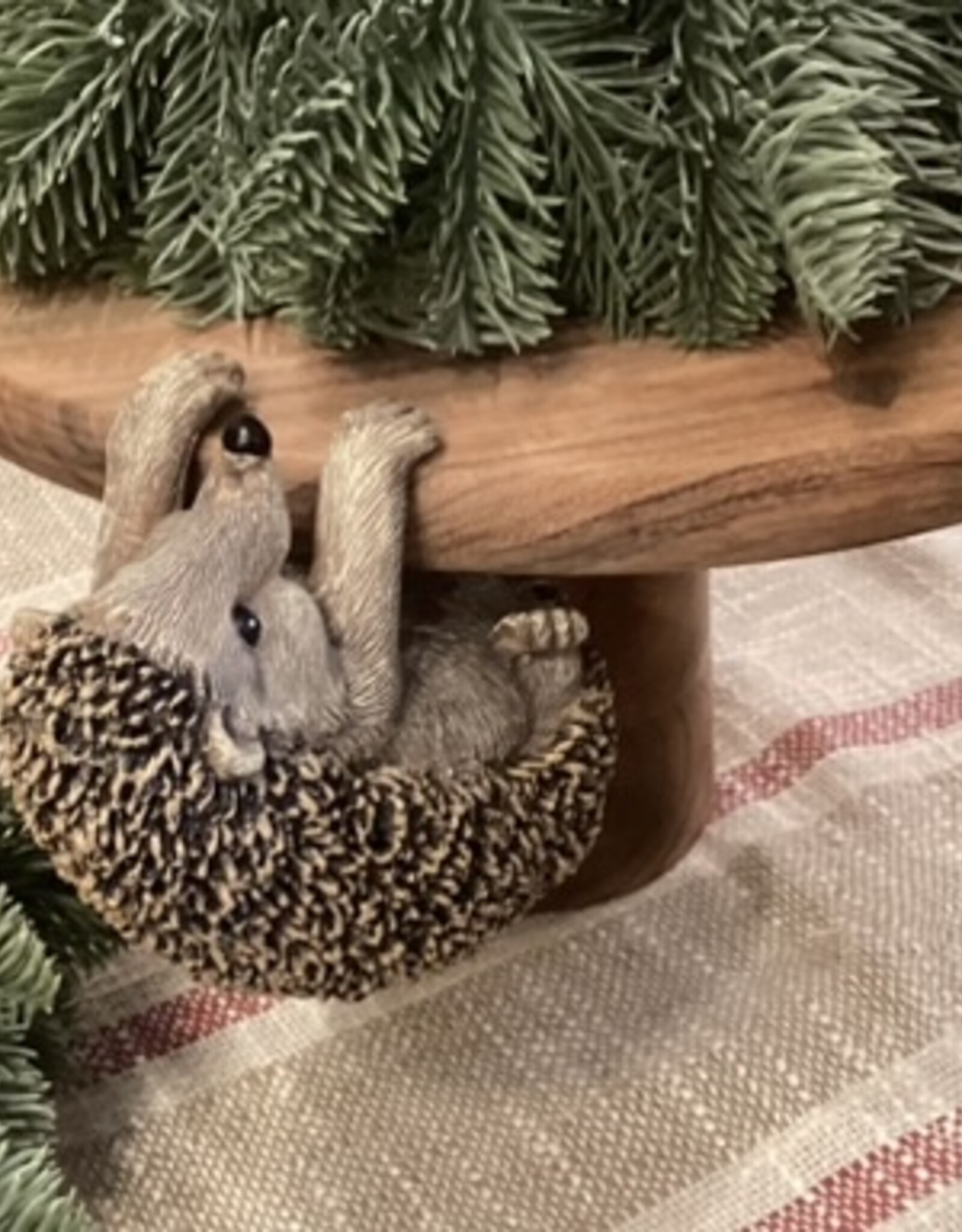 Hängender Igel