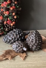 Dennenappels decoratie set