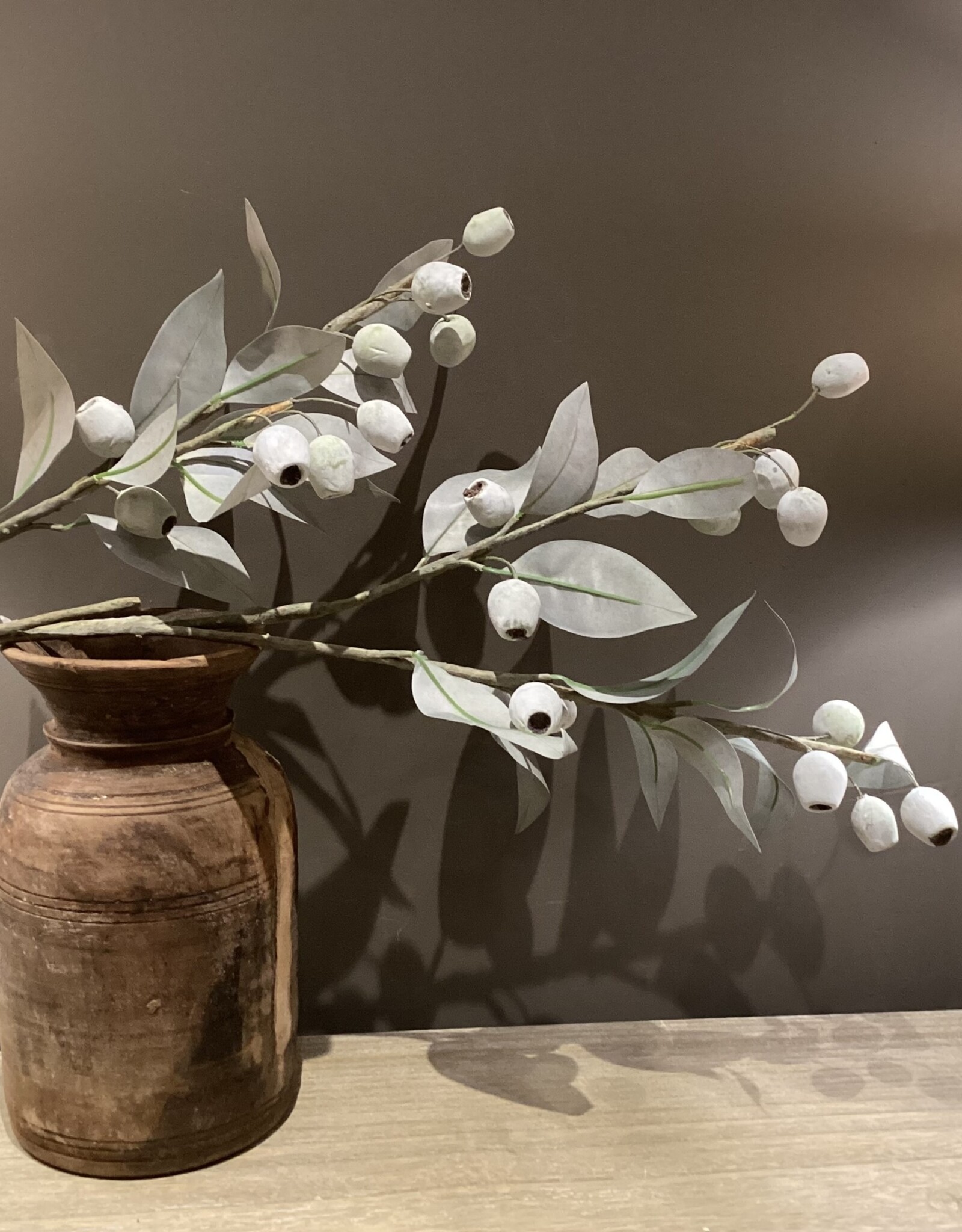 Eucalyptus tak met bessen