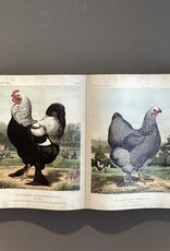 Clayre en Eef décoration murale sous forme de livre