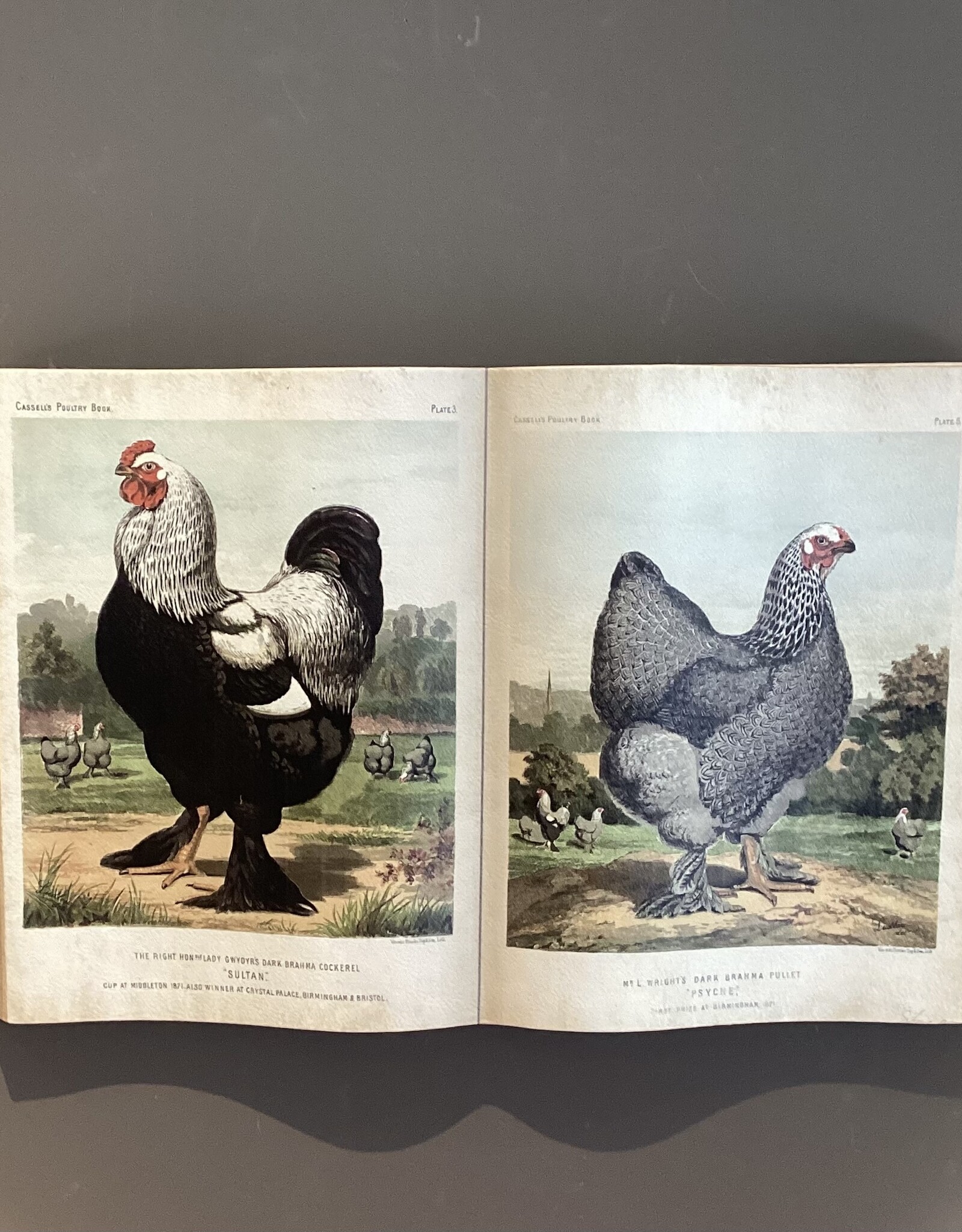 Clayre en Eef décoration murale sous forme de livre