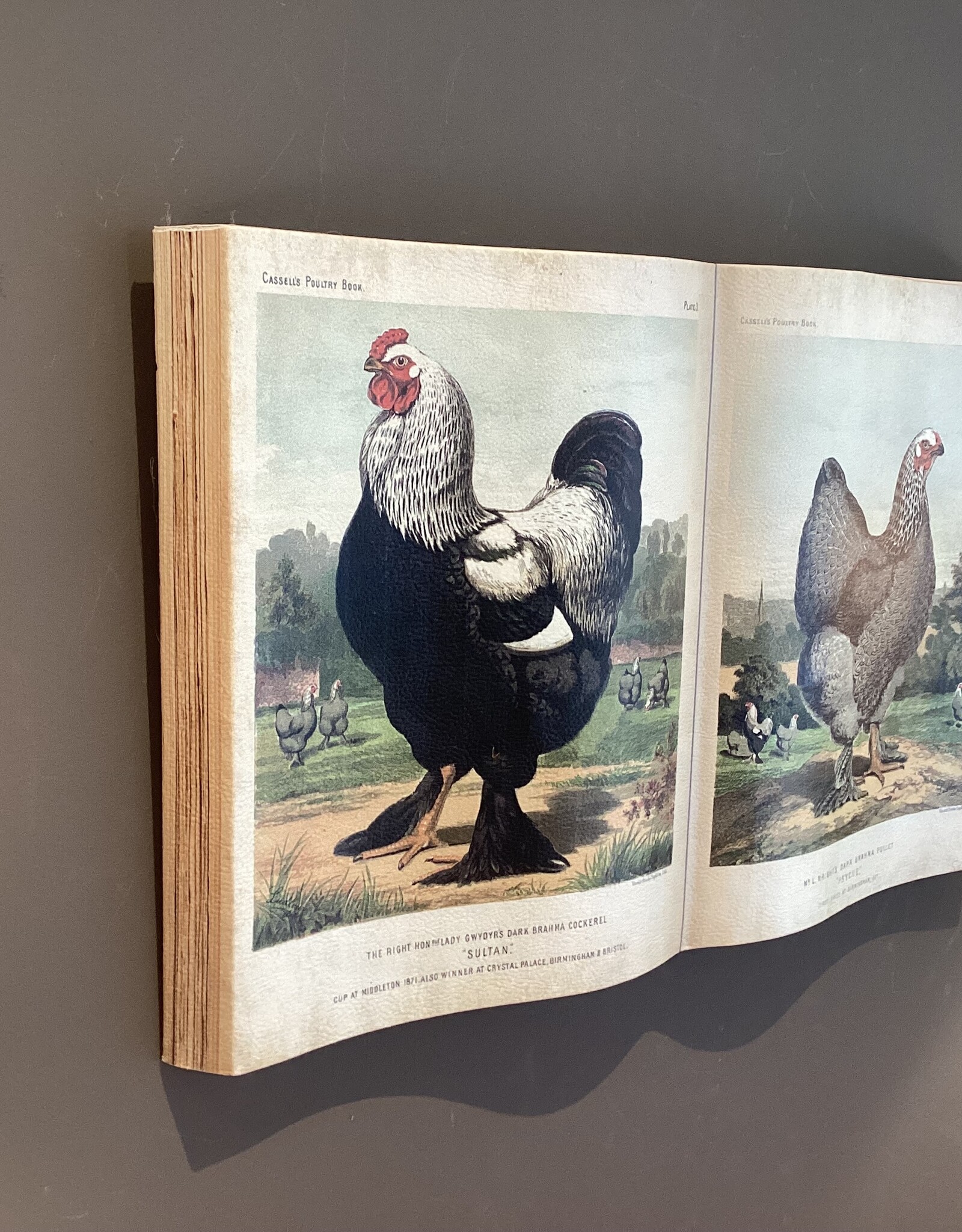 Clayre en Eef décoration murale sous forme de livre