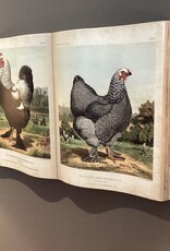 Clayre en Eef décoration murale sous forme de livre