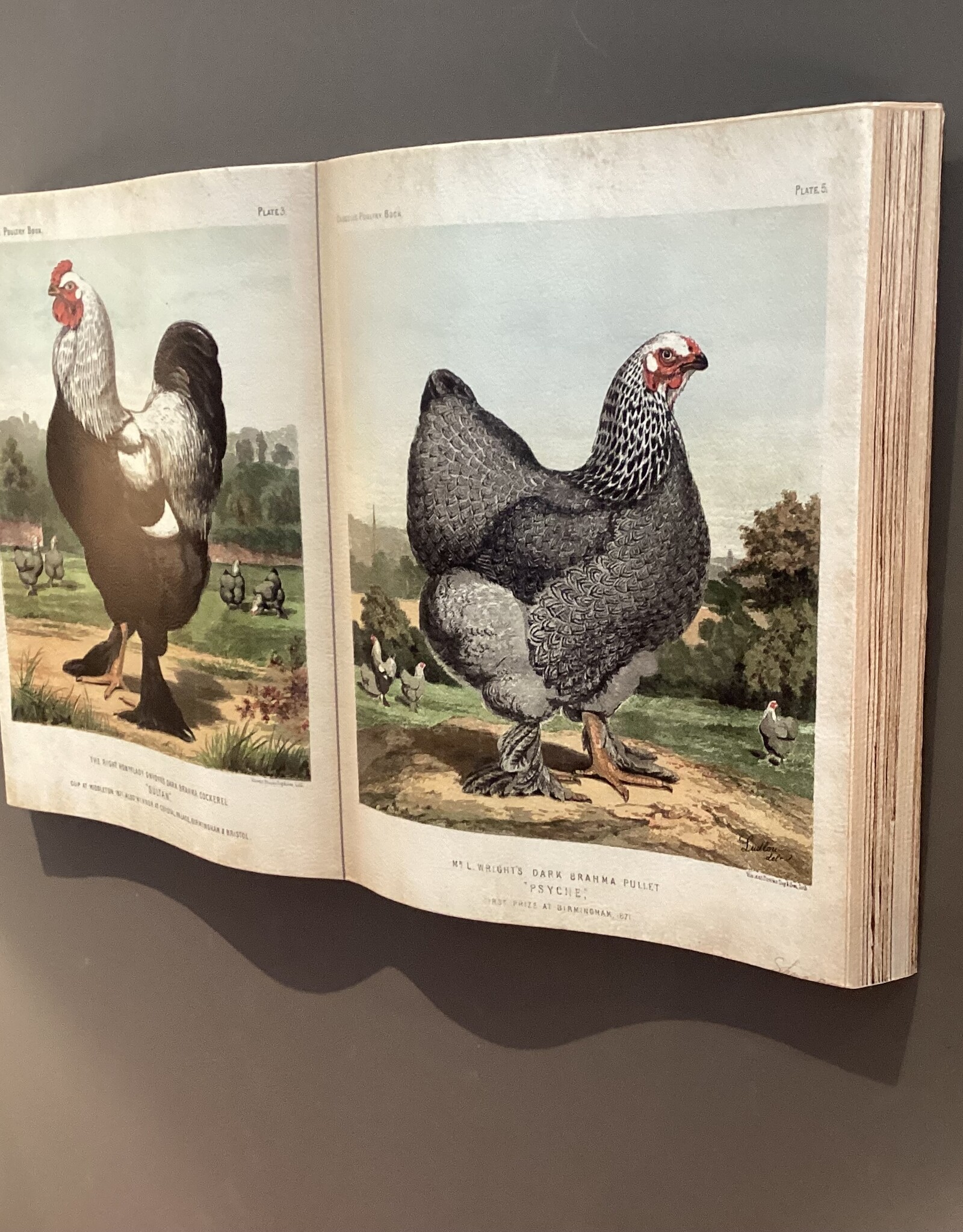 Clayre en Eef décoration murale sous forme de livre