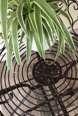 Plantentafel/bijzettafel